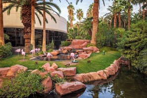 Property grounds - King Room at a  Hotel (Las Vegas)