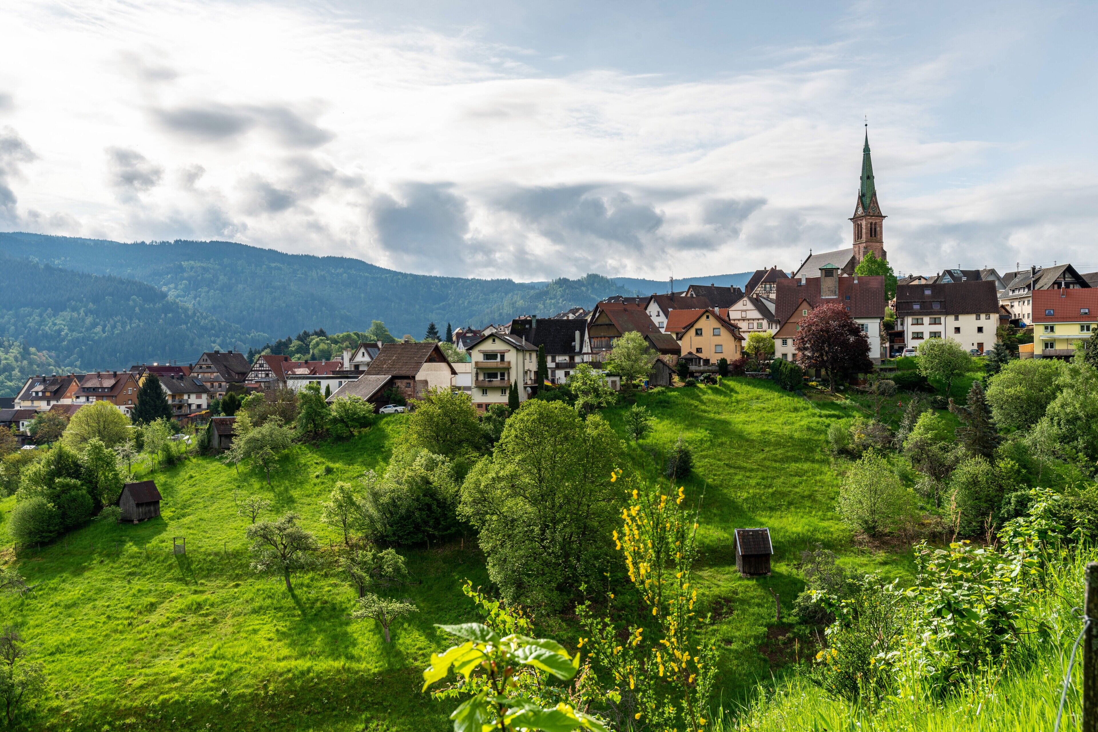 A hillside village with traditional houses, a church, and lush greenery.