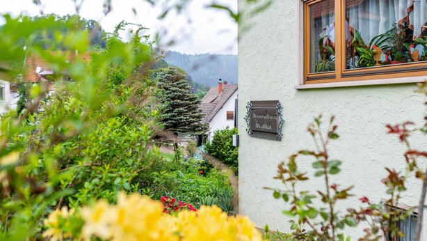 Um edifício com uma placa que diz 'Haus zum Fuchs' e uma janela com plantas.