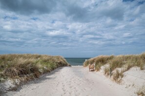 Un sentier de sable qui longe la plage et mène à la mer, bordé de dunes et agrémenté d’un banc.
