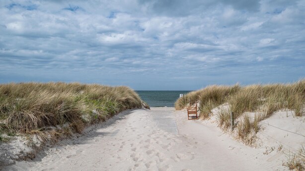 Un sentier de sable qui longe la plage et mène à la mer, bordé de dunes et agrémenté d’un banc.