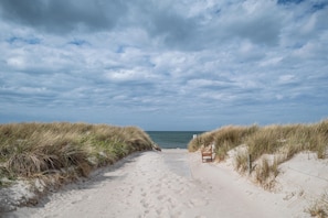 A sandy beach path leading to the sea, flanked by dunes with a bench.