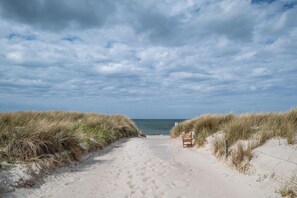 Un sentier de sable qui longe la plage et mène à la mer, bordé de dunes et agrémenté d’un banc.