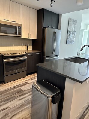 Kühlschrank, Mikrowelle, Herdplatte, Geschirrspüler