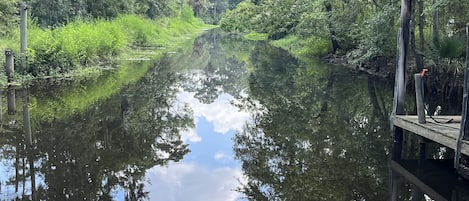 A wooden dock extending over a calm river, surrounded by lush greenery and trees.