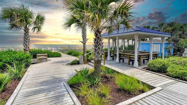 Una passerella di legno conduce a un gazebo con panche, circondato da palme e vegetazione.