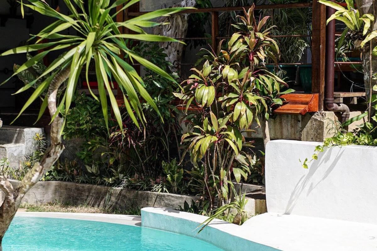 Piscina cercada por plantas tropicais e uma estrutura de concreto.