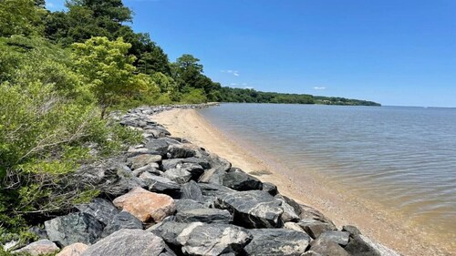 Uncle Bill's Lodge & Soccer Pool Showdown