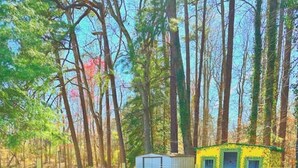 A forested area with a fire pit surrounded by Adirondack chairs, a small shed, and a yellow cabin.