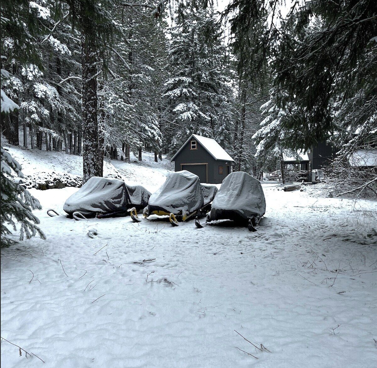 Une cabane au cœur d’une forêt enneigée, avec quatre traîneaux recouverts devant.