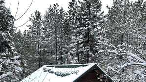 Una cabaña de madera con un porche y escalones, rodeada de árboles cubiertos de nieve.