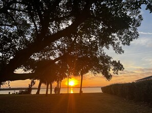 Property grounds - 250 Steps to Residents-Only Section of Clearwater Beach (Clearwater)
