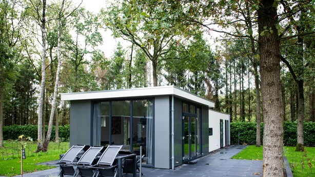 A modern building with a glass facade, surrounded by a forest. - Great chalet on park Drentheland (Zorgvlied)