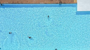 A swimming pool with clear blue water, a brick wall, and a diving board. - Great chalet on park Drentheland (Zorgvlied)