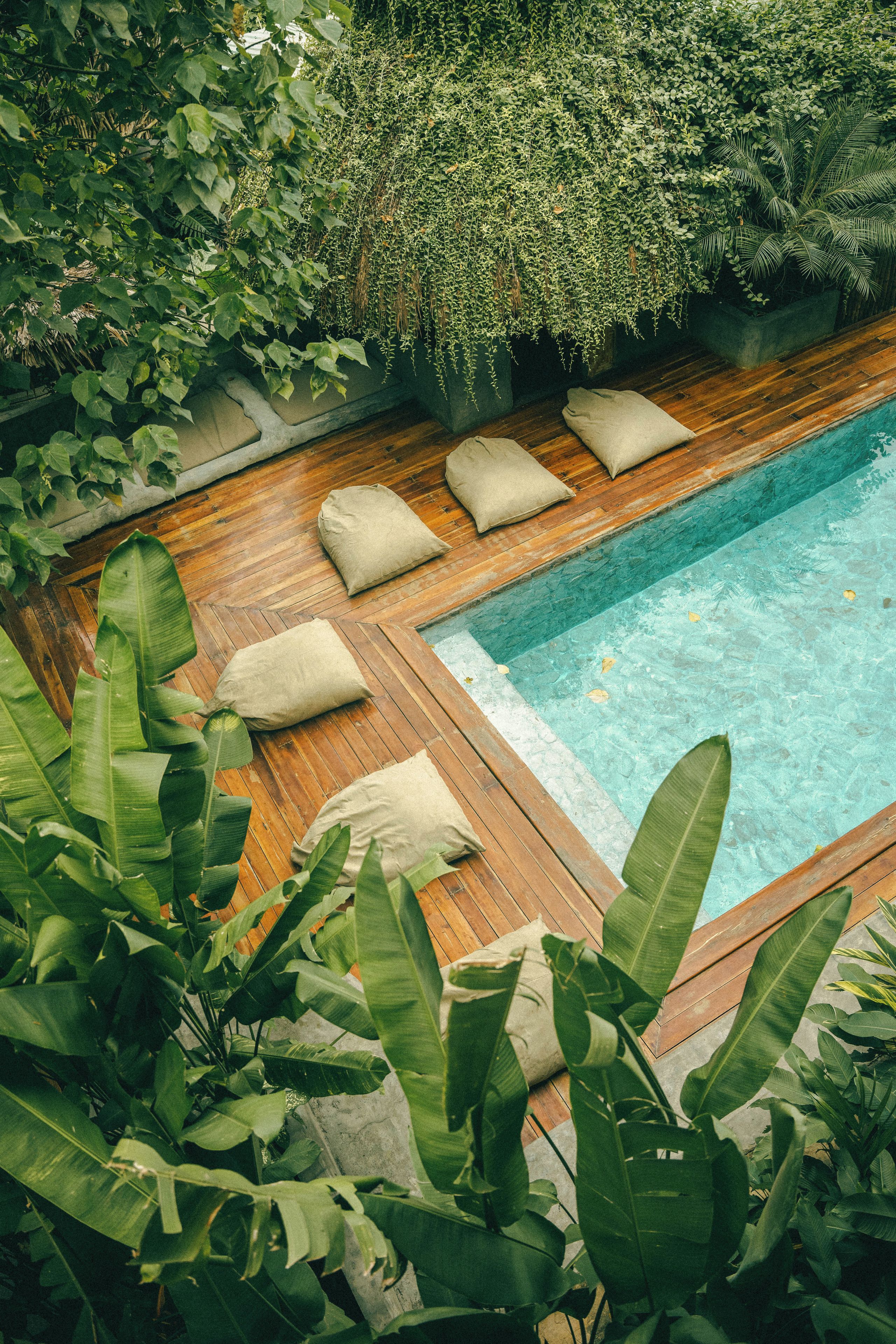 A wooden deck with a pool, surrounded by lush greenery and potted plants.