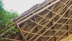 A traditional bamboo structure with a thatched roof, a wooden balcony, and large green leaves in the foreground.
