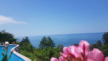A pool with a curved edge, surrounded by lush greenery and overlooking a clear blue sea.