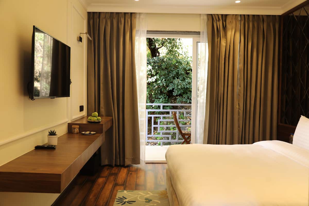Habitación de hotel con cama, televisión, una mesita con una planta y vista a follaje por la puerta.