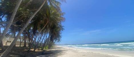 Beach nearby, sun-loungers