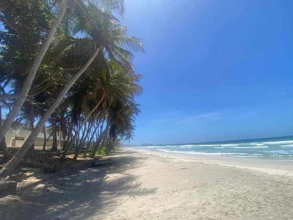 Beach nearby, sun-loungers
