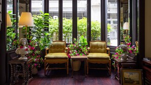 Una habitación con dos sillones amarillos, una mesita y una planta en maceta con flores rosadas.