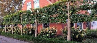 Holiday Home in Donkerbroek near Forest Trails