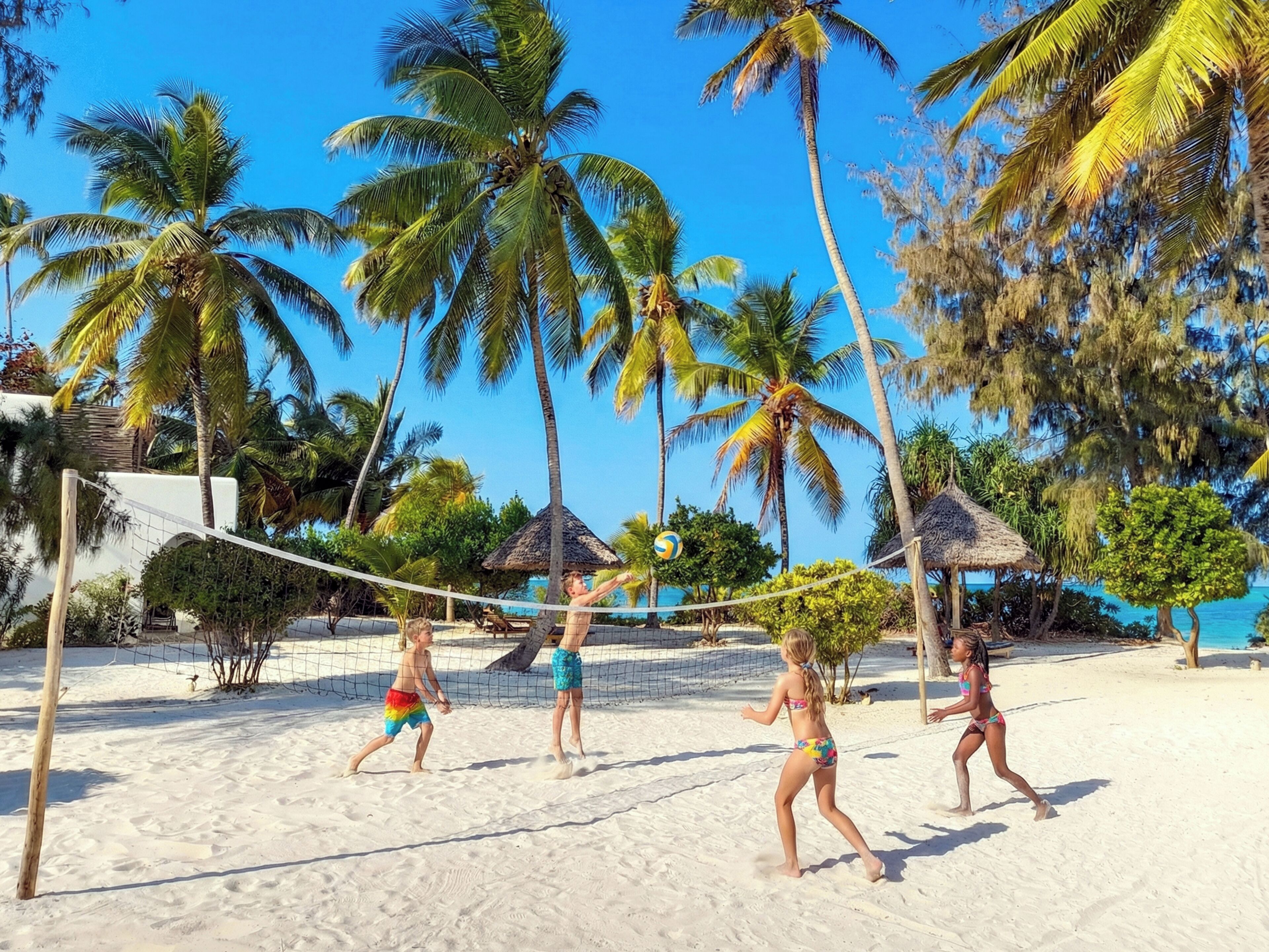 A beach volleyball game on a sandy court surrounded by palm trees and a clear blue sky.