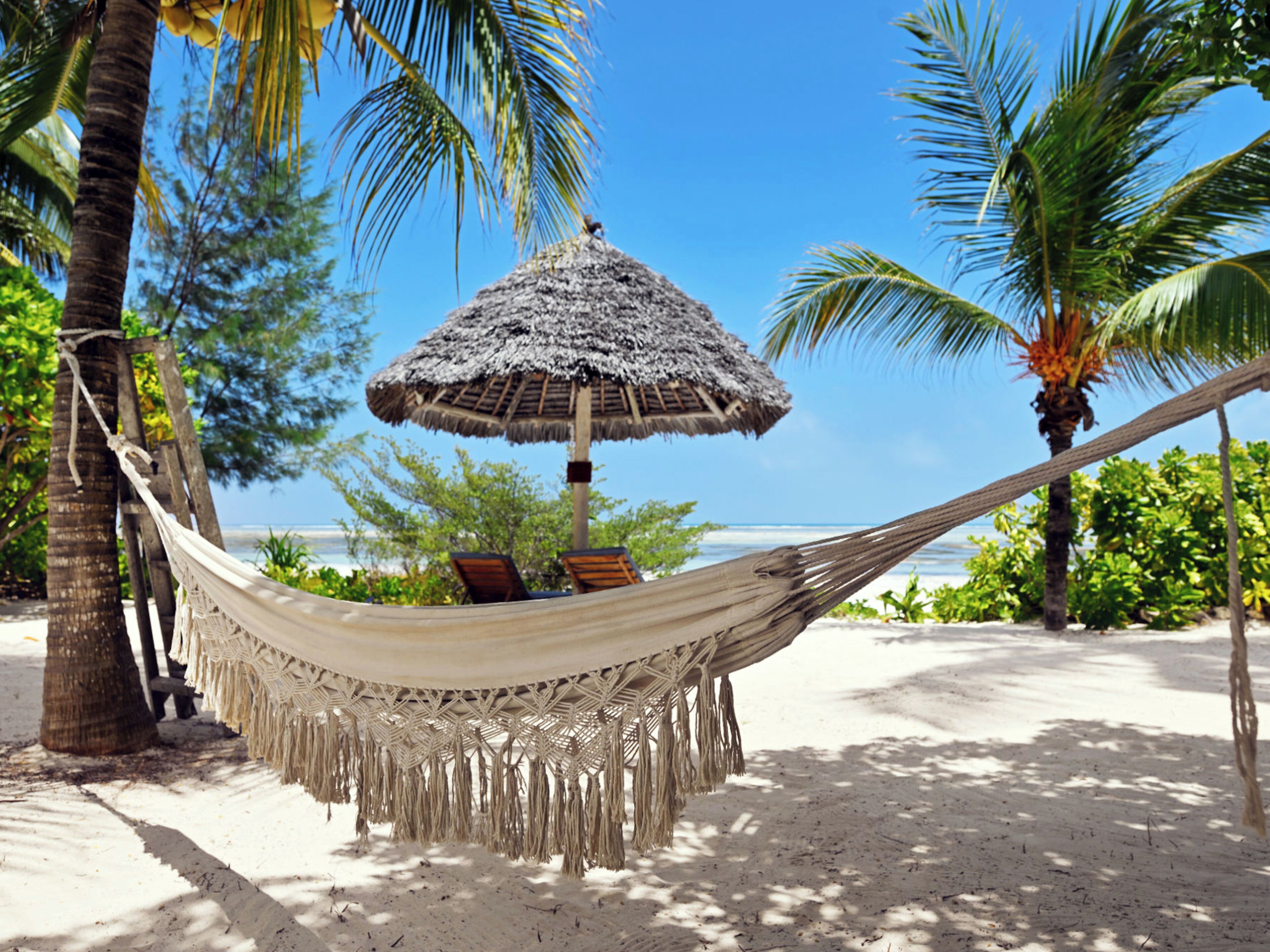 A hammock tied between two palm trees on a sandy beach with a thatched umbrella and chairs underneath.