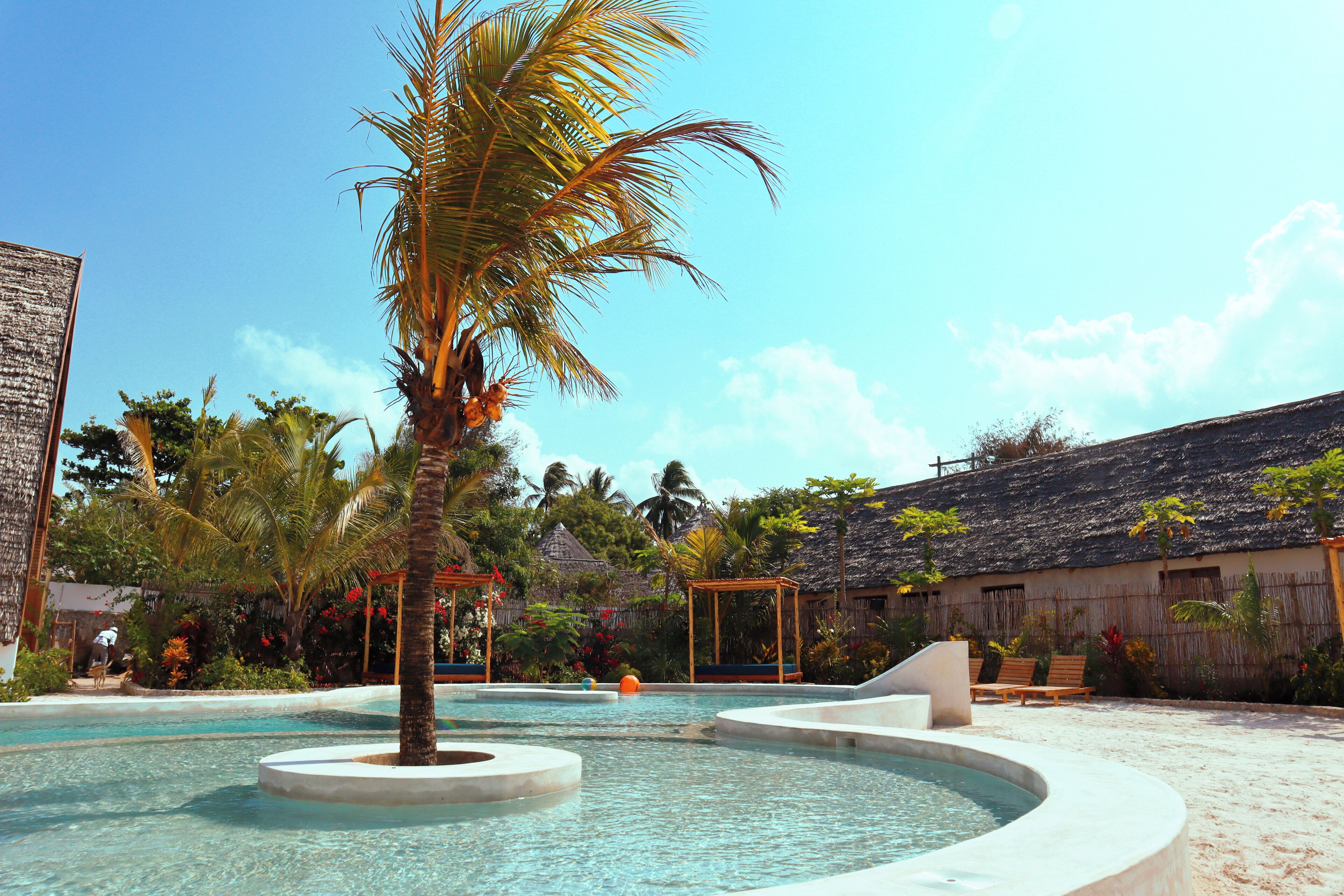 Utomhuspool, parasoller och solstolar