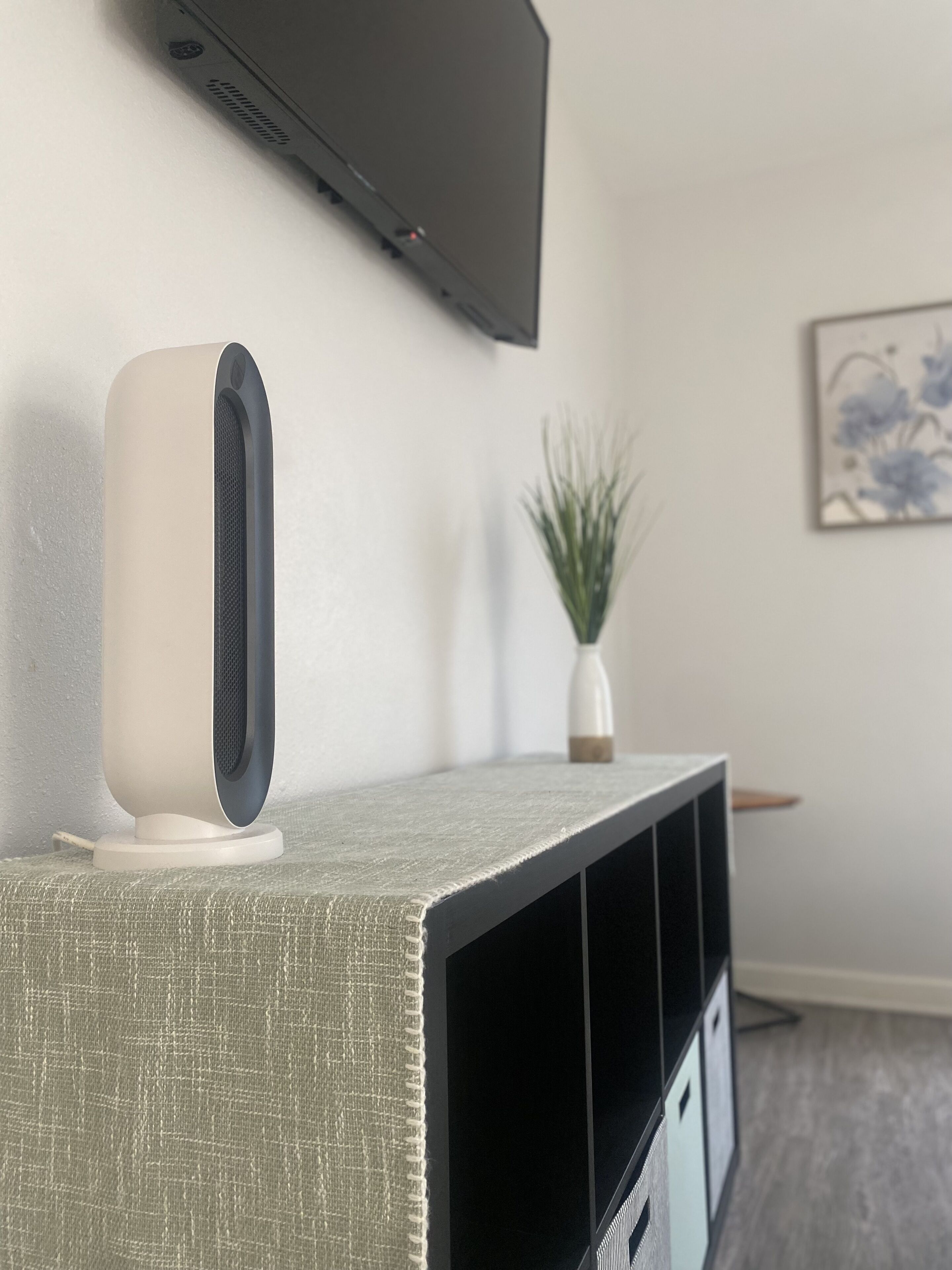 Un televisor de pantalla plana montado en la pared, un altavoz blanco sobre una consola gris, una pequeña planta en maceta y una obra de arte enmarcadas.