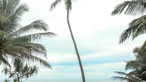 Un patio frente a la playa con mobiliario exterior, palmeras y vista al océano.