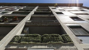 Un edificio de varios pisos con una cuadrícula de ventanas y balcones, algunos con plantas.