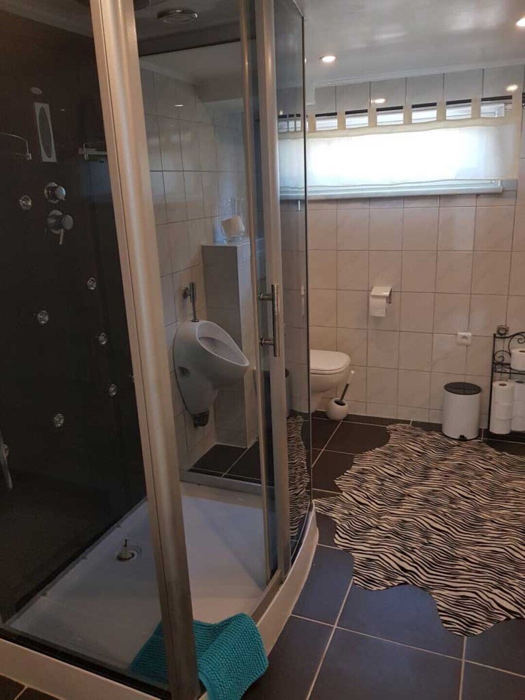 Dusche, Haartrockner, Handtücher, Toilettenpapier