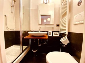 Shower, hair dryer, bidet, towels