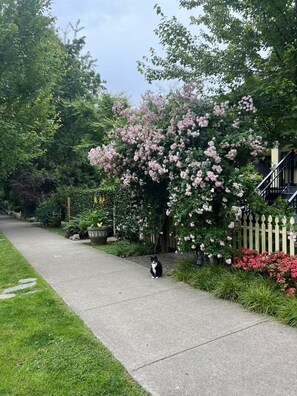 Property grounds - A Gentle Hideaway in the Urban Forest｜WEST END downtown Vancouver (Vancouver)