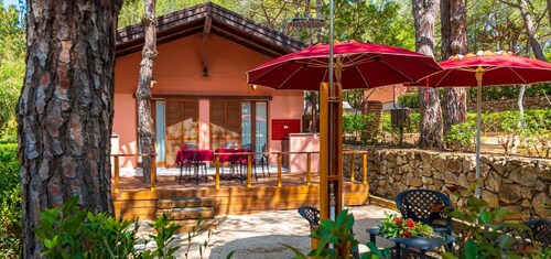 Camping Lacona Pineta