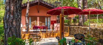 Camping Lacona Pineta