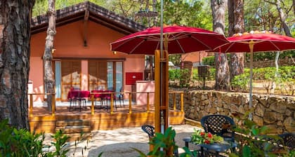 Camping Lacona Pineta
