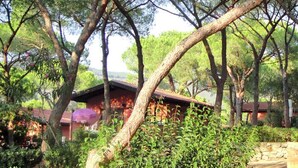 A rustic cabin surrounded by dense trees and greenery, with a stone wall and a small wooden structure nearby.
