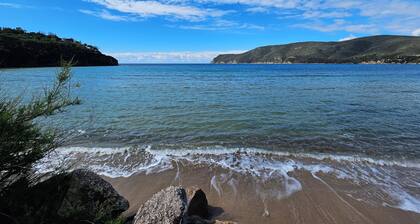 Camping Lacona Pineta