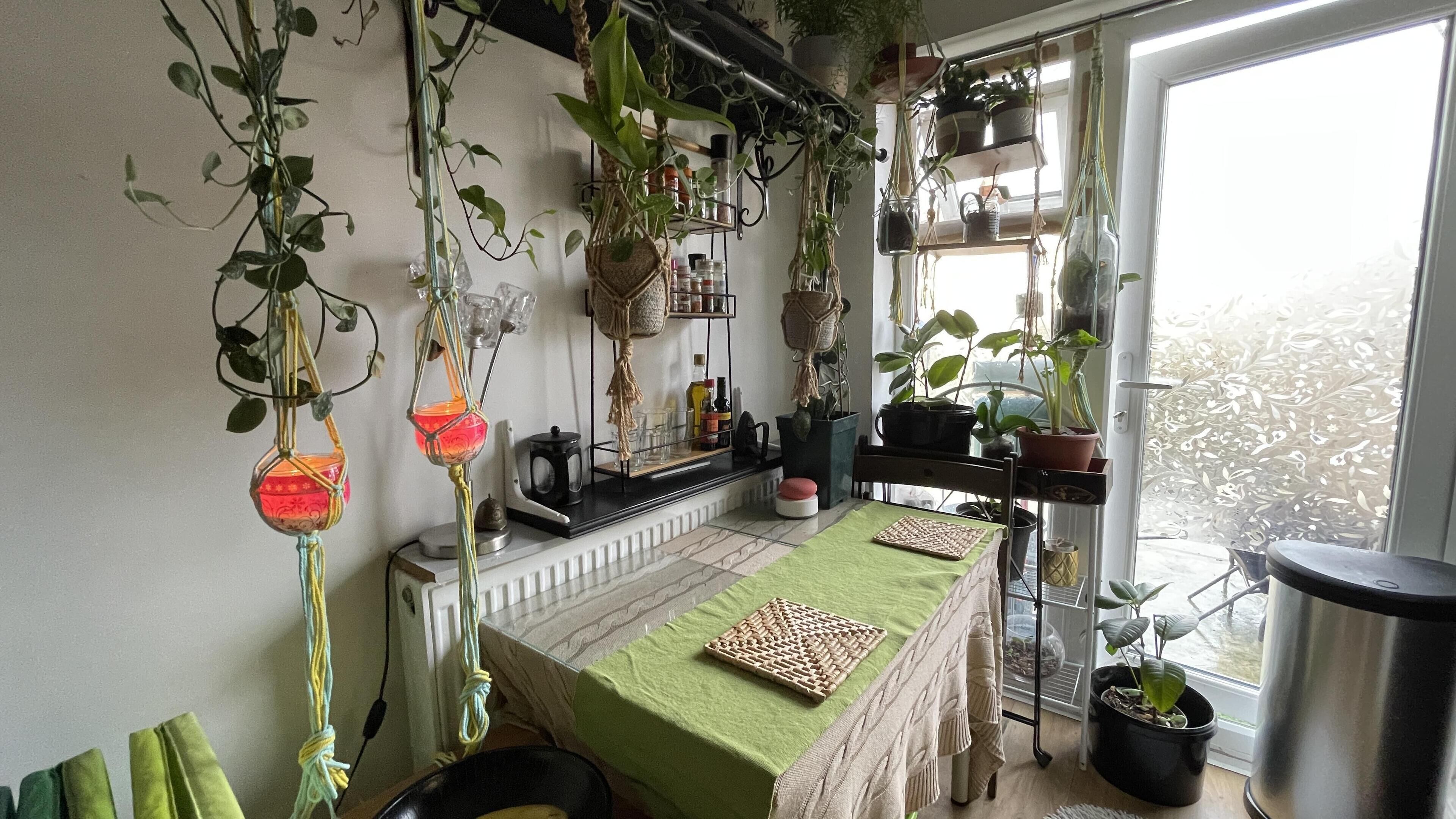 Studio, 1 Queen Bed | Interior