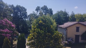 Ländliche Szenerie mit einem gelben Gebäude, einem Baum mit gelben Blüten und einem Kirschbaum in voller Blüte.