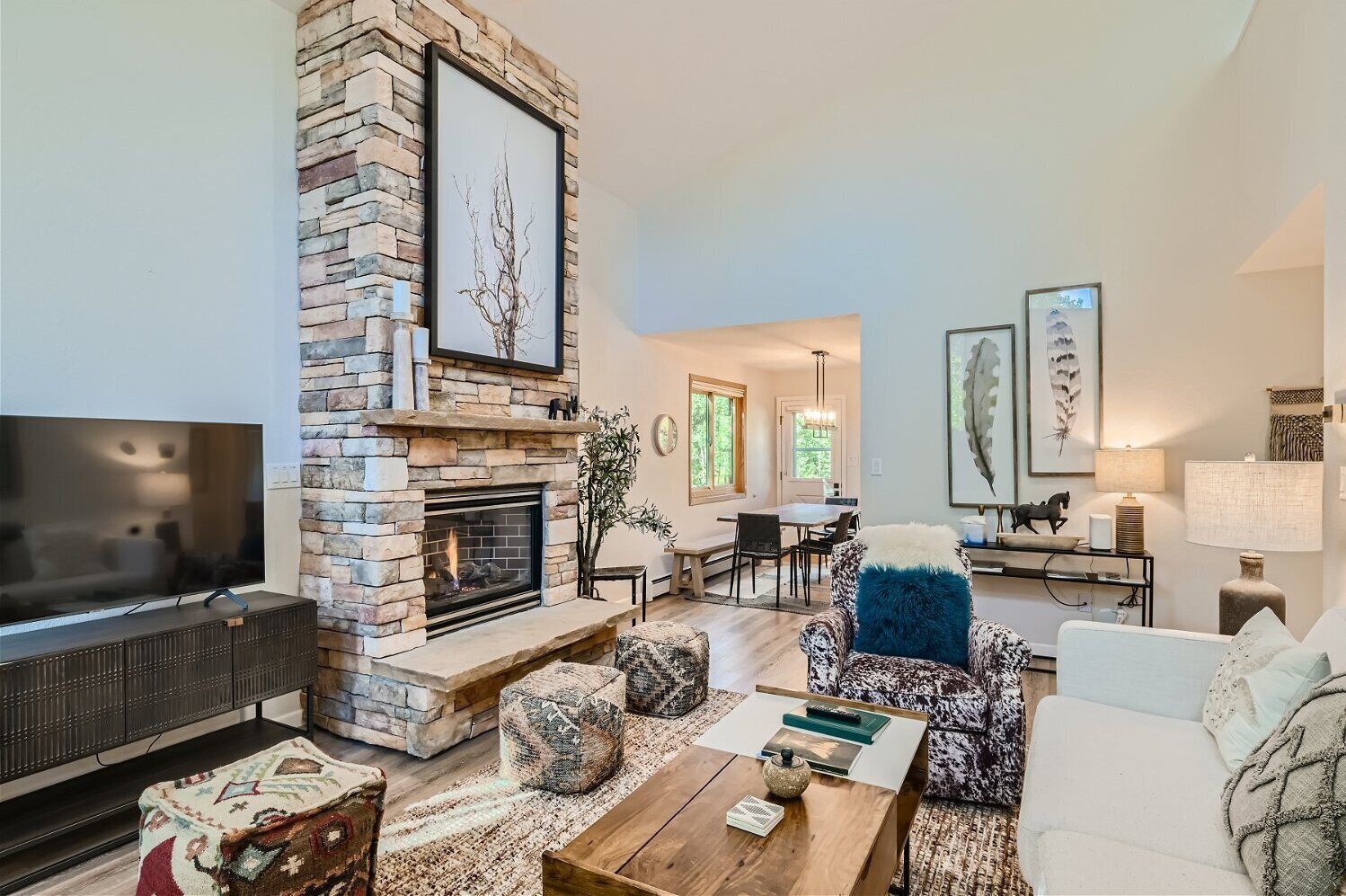 TV, fireplace, video games, DVD player