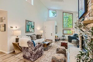 Télévision, cheminée, jeux vidéo, lecteur de DVD