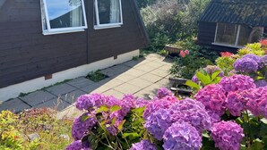 A dark wooden house with two windows, a garden with purple hydrangeas, and a small shed.