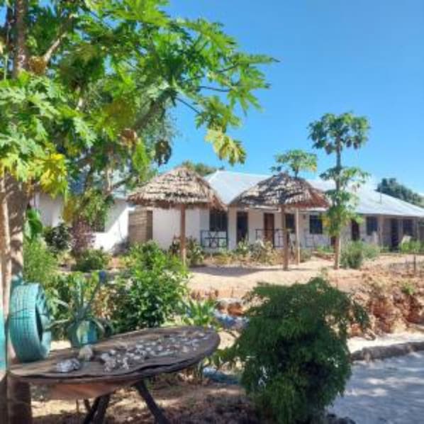 Standard Apartment | Garden view - Hilali's Bungalow (Kendwa)