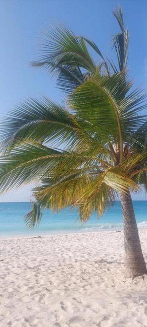 Private beach, white sand, beach bar - Hilali's Bungalow (Kendwa)