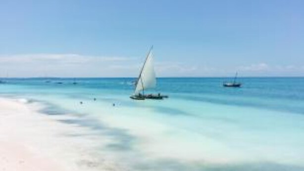 미분류 이미지, 1/20장, 버튼