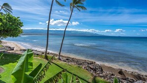 Une plage bordée de palmiers, offrant une vue dégagée sur l’océan.
