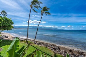 On the beach - Beachfront Remodeled Oasis, Steps to Sugar Beach (Wailuku)